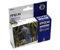 Epson Fotocartridge T048540 licht (C13T048540)